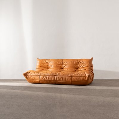Togo vintage sofa in brown leather by Michel Ducaroy for Ligne Roset,  France 1973