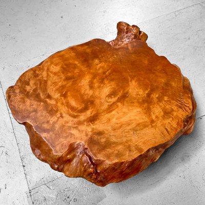 Yakusugi Burl Wood Plant Stand, Japan, 1950s for sale at Pamono