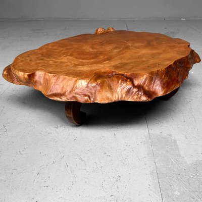 Yakusugi Burl Wood Plant Stand, Japan, 1950s for sale at Pamono