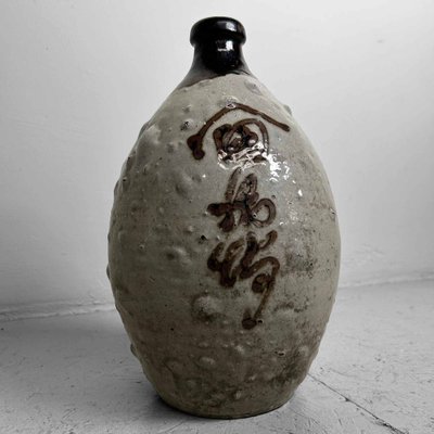 Glazed Ceramic Sake Bottles, Japan, 1890s, Set of 2 for sale at Pamono