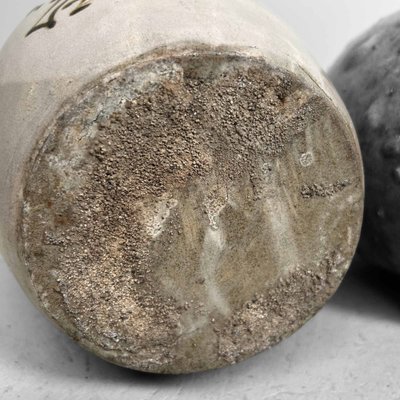 Glazed Ceramic Sake Bottles, Japan, 1890s, Set of 2 for sale at Pamono