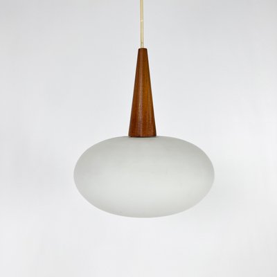 Vintage NG74 30 Pendant Lamp attributed to Louis Kalff for Philips