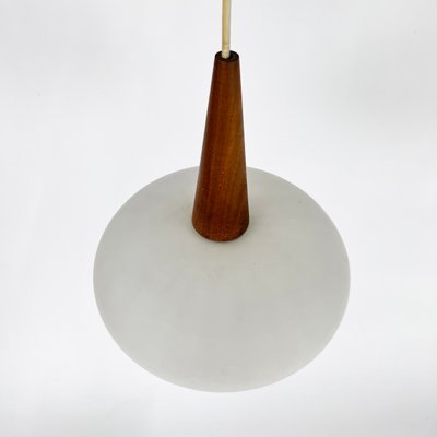 Vintage NG74 30 Pendant Lamp attributed to Louis Kalff for Philips