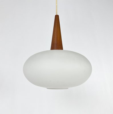 Vintage NG74 30 Pendant Lamp attributed to Louis Kalff for Philips