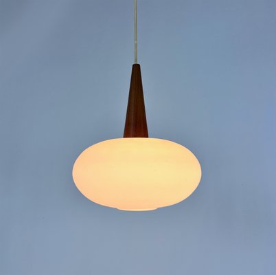 Vintage NG74 30 Pendant Lamp attributed to Louis Kalff for Philips