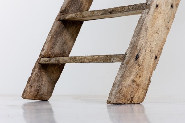 20th Century Art Populaire Rustic Ladder, France for sale at Pamono