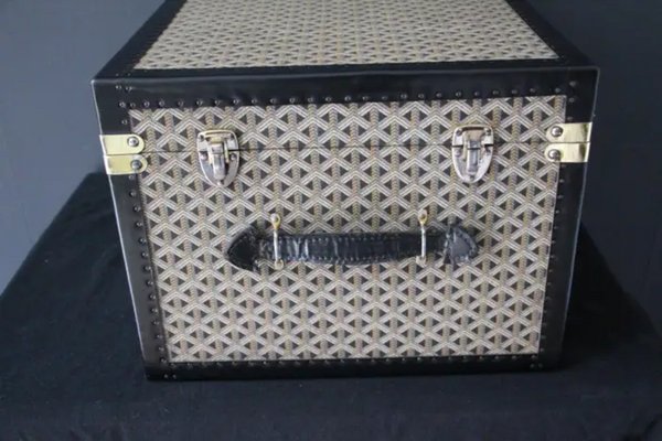 Goyard Sardaigne Vanity Train Case Gold Canvas Jewelry Storage Box Travel  Trunk