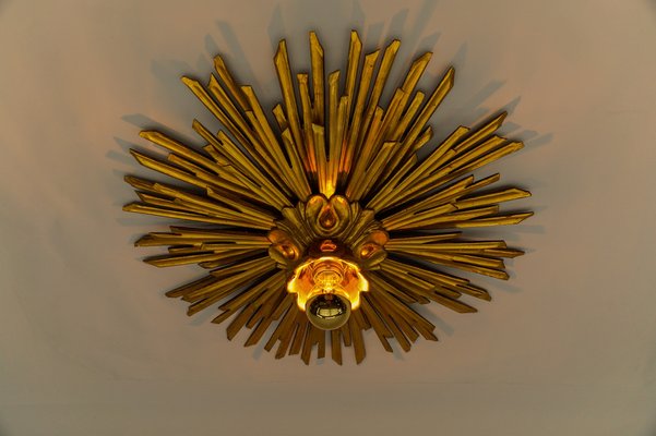 Sunburst flush 2024 mount light