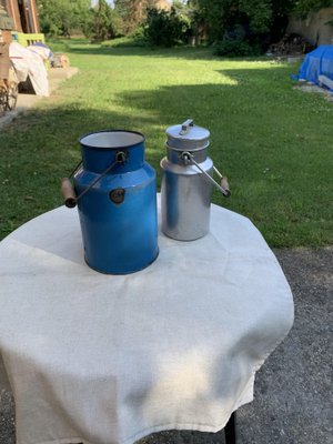 Blue and Aluminum Milk Cans, 1950s, Set of 2 for sale at Pamono