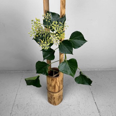 Vintage Bamboo Ikebana ni-ju-giri Vase, Circa 1950s, Japan — portmanteau  new york