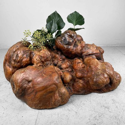 Japanese Decorative Burl Wood Decor, 1920s for sale at Pamono