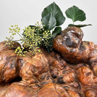 希少 Antique Wooden Object Japanese Decorative Burl Wood Decor, 1920s for sale at Pamono