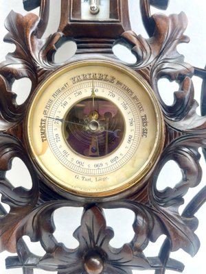 Ancien Baromètre Thermomètre – Forme Ancre Avec Oiseau – Blason Ville De Nice