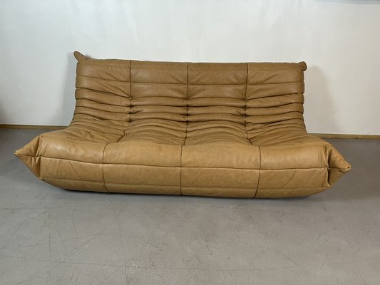 Sofa michel ducaroy discount