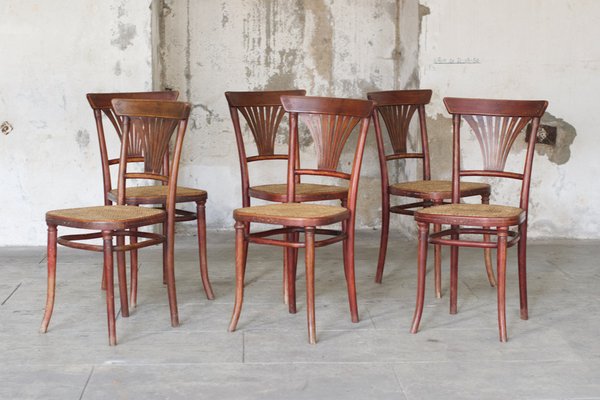Sillas 221 de mimbre de Michael Thonet para Thonet, años 20