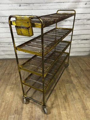 Industrial Iron Cabinet with Mesh Doors on Wheels, 1960s for sale at Pamono