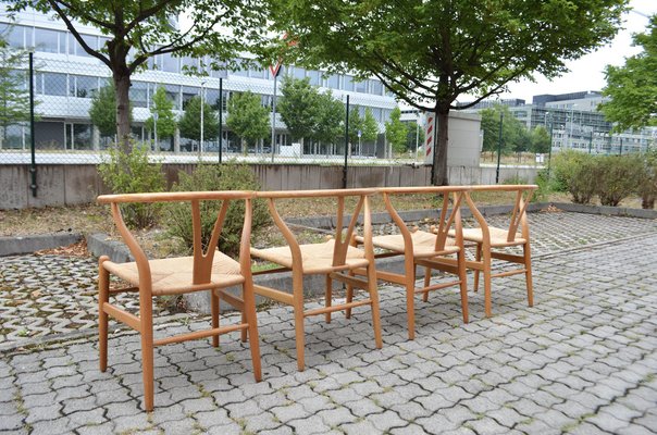 CH24 Wishbone Y Chair in Oak by Hans J. Wegner for Carl Hansen