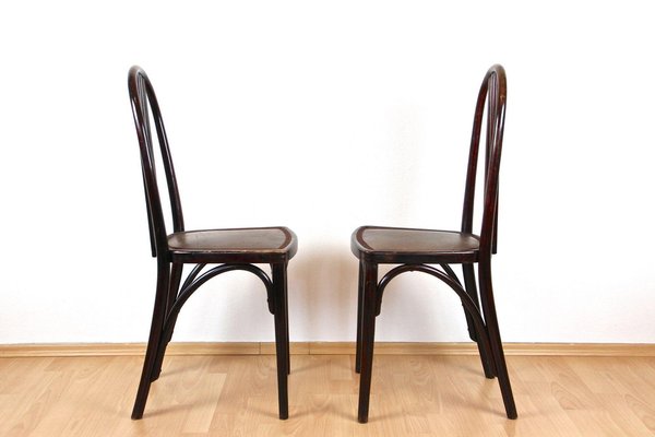 Thonet chair styles hotsell