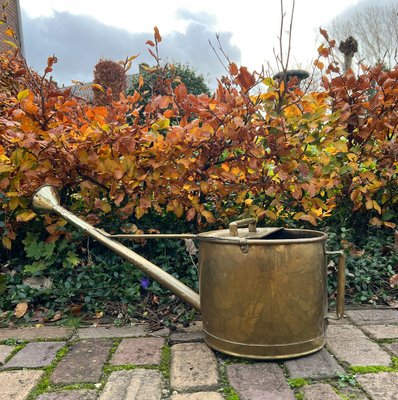 Brass Watering Jug - Plümo Ltd