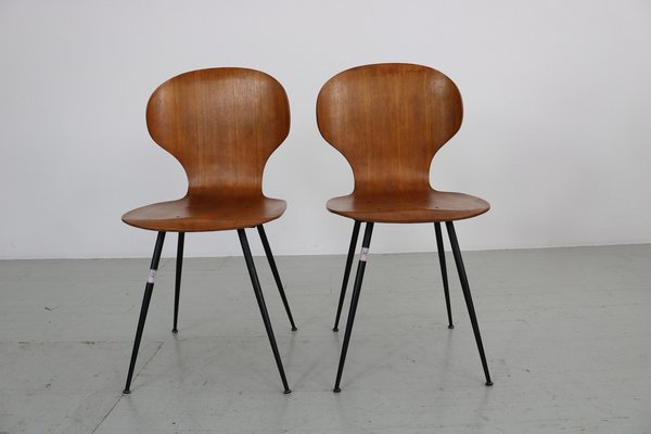 Plastic bentwood chairs hotsell