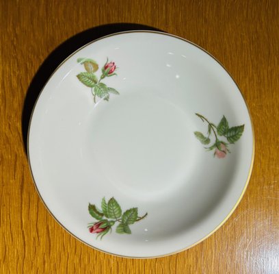 Dinner Service by Théodore Haviland, 1950s, Set of 36
