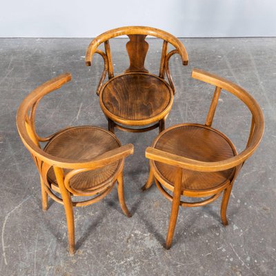 Bentwood carver chair new arrivals