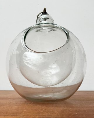 olivenbaum hoch Olivenbaum auf Stamm – Olea europaea, 15 cm Topf, 60 cm hoch main image 1