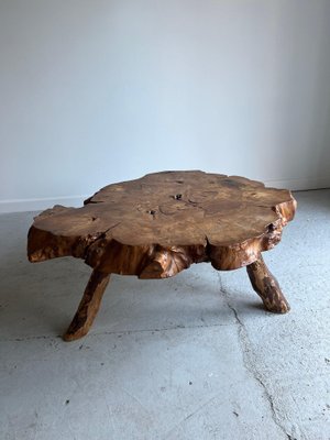Tree stump coffee cheap table for sale