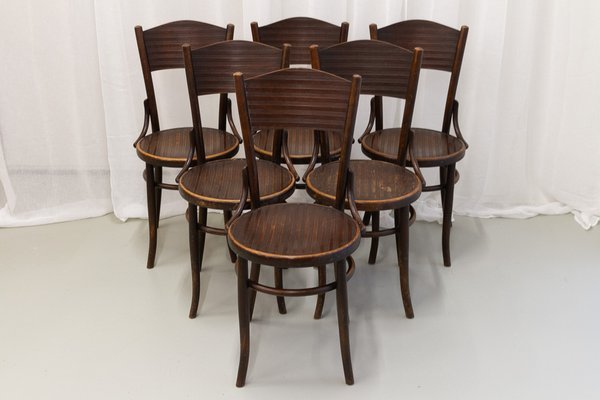 Bentwood bistro 2024 chairs for sale