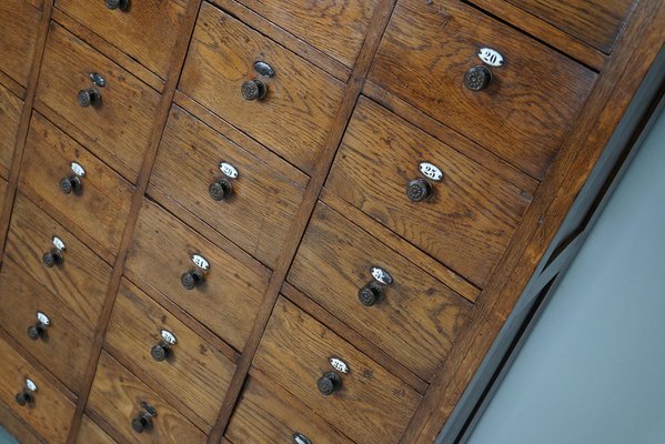 Large Dutch Oak Apothecary Cabinet with Enamel Shields, 1900s for