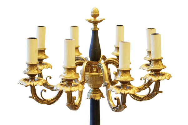 20th Century French Floor Lamp in Gilded and Patinated Bronze
