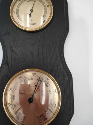 Mid-Century Wooden Barometer, Hygrometer, Thermometer, 1960s for sale at  Pamono