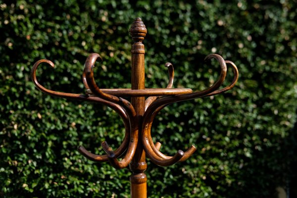 Czechoslovakian Coat Hanger by Michael Thonet 1900s