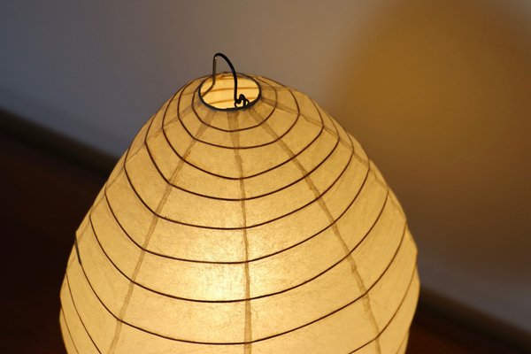Noguchi 1n sales