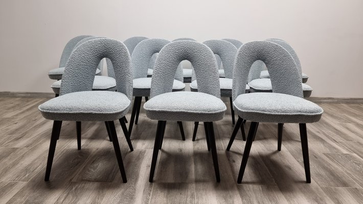 Dining Chairs by Antonin Suman 1960s Set of 12 for sale at Pamono
