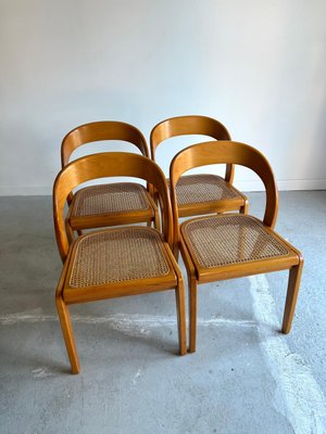 Coloured chairs for sale sale