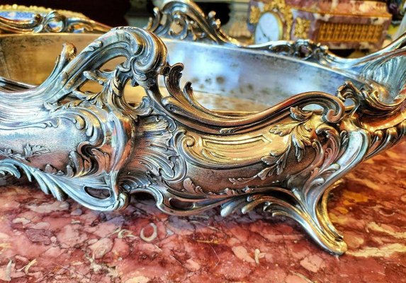 Louis XV Style Silver Plated Bronze Jardiniere, 1800s for sale at