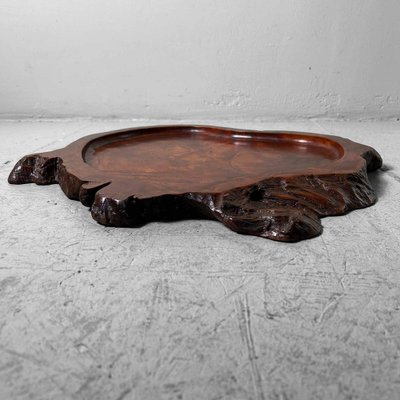 Yakusugi Wood Display, Japan, 1920s for sale at Pamono