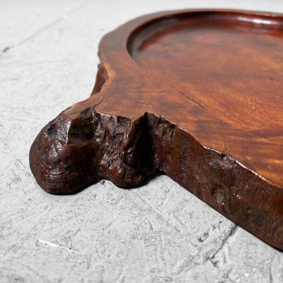 Yakusugi Wood Display, Japan, 1920s for sale at Pamono