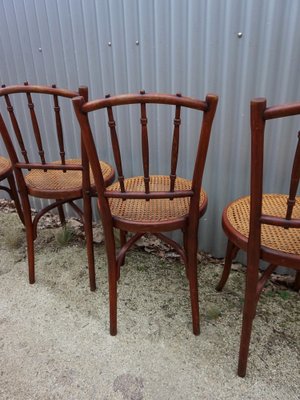 Primi 900 Legno Catalogo Sedie Thonet Originali Sedie Da Pranzo 66