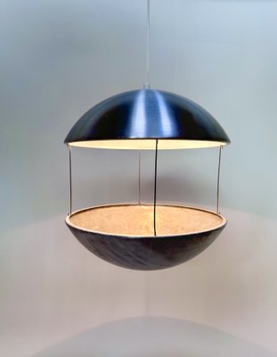 Model Rs 37 Flower Ceiling Lamp in Brushed Aluminium by Poul