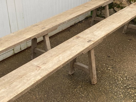Large Farm Benches in Wood 1900s Set of 2