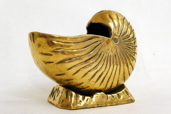 Pot in the hape of a Nautical Shell in Golden Brass, 1970s for sale at  Pamono