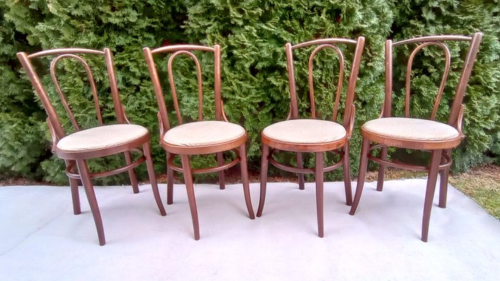 Antique bentwood chairs for sale discount