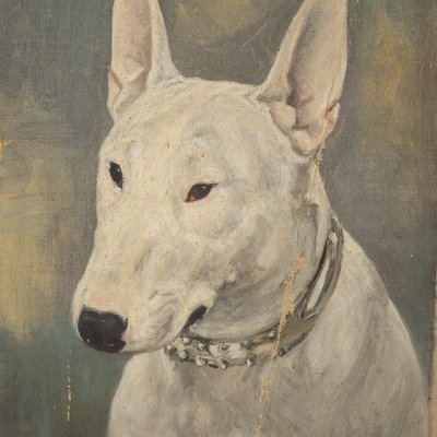 Frederick Thomas Daws, Antique English Bull Terrier, Oil on Canvas, 1920,  Framed