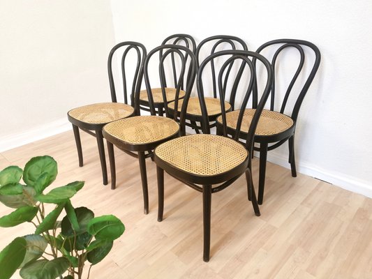 Black windsor 2024 chairs for sale