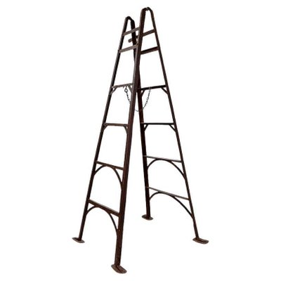 Iron ladder cheap