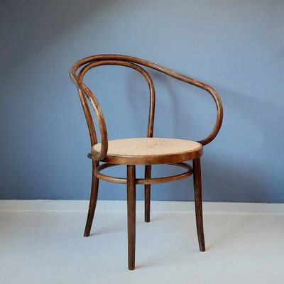 Bentwood & Rattan No. 209 Armchair from ZPM Radomsko, 1970s for
