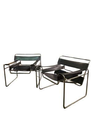 Wassily gavina 2024