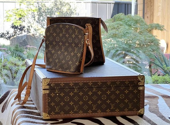 Suitcase Alzer from Louis Vuitton, France